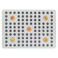 2500w COB LED Grow Lights para invernadero