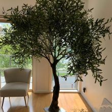 Customized Big Tree Fiberglass Trunk Artificial Olive Trees for Decoration