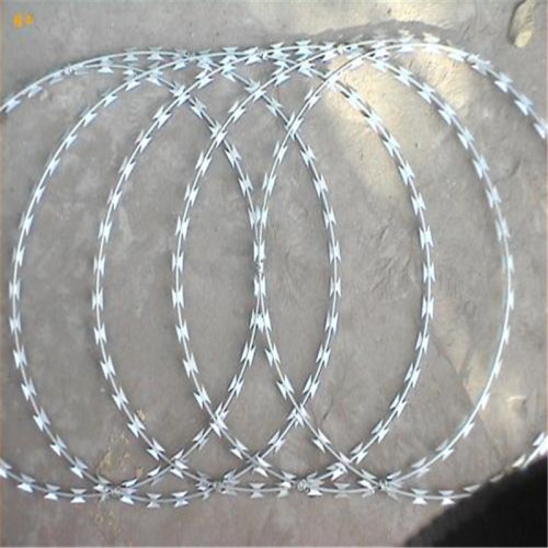 Low price concertina razor barbed wire