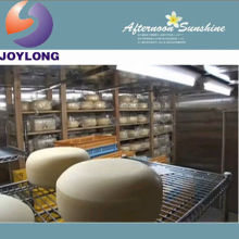 Complete mozzarella dairy cheese processed production plant