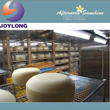 Complete mozzarella dairy cheese processed production plant