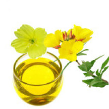 Cedarwood ätherisches Öl für Aromatherapie, Botschaft, SPA