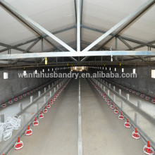 hot sale automatic broiler mechanized poultry farming