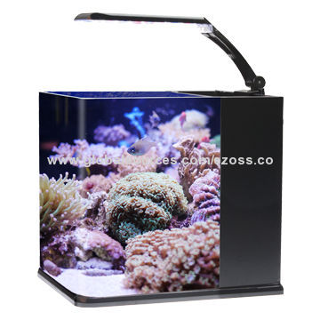 Stylish and small aquarium with lighting and filter system