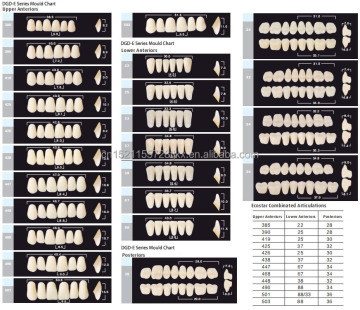 Premium Two Layers Synthetic Polymer Teeth