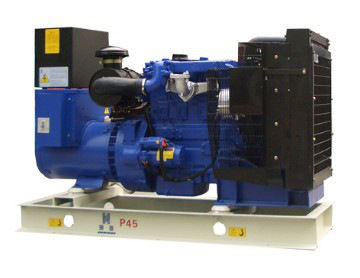 Tianjing Lovol Engine Diesel Generator 45kVA