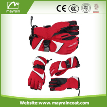 Women's Waterproof Thinsulate Lined Winter Ski Glove