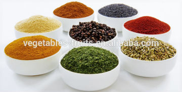 dehydrated spices powder single spice & condiments wholesale