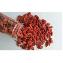 Ningxia New Harvest Vendita calda bacca di goji cinese