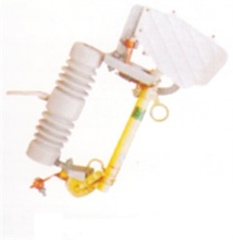 RW10-10F Cut-out Fuse Expulsion Fuse