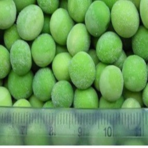 chinese biggest supplier competitive of frozen green pea, iqf green pea, frozen pea ,iqf pea