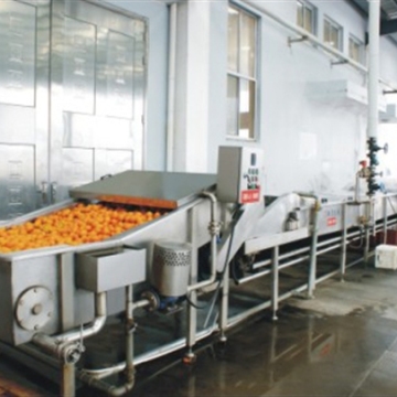 Orange Fruit Can Production Line