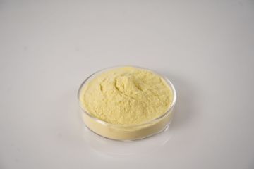 Natural Spray Dried Orange Fruit Powder