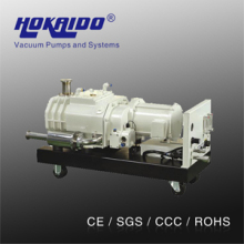 Hokaido Long History Good Performace Dry Screw Vacuum Pump (RSE160)