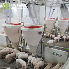 Wet/Dry Auto Pig Farm Feeding System with Intelligent Control