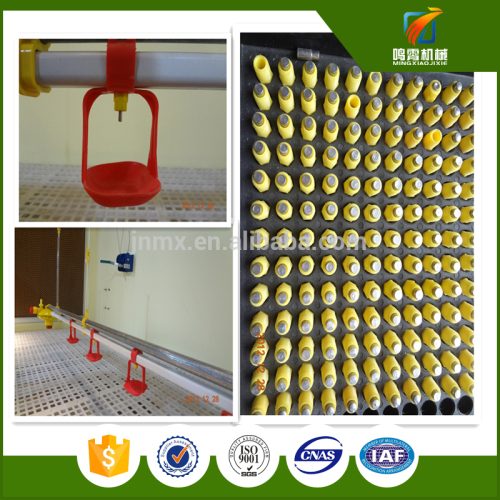 automatic poultry nipple drinker for chick