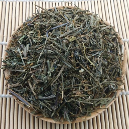 Scutellaria barbata chất lượng cao