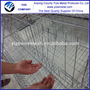 professional galvanized wires cage for chicken bird/galvanized laying egg chicken cages for bird farm