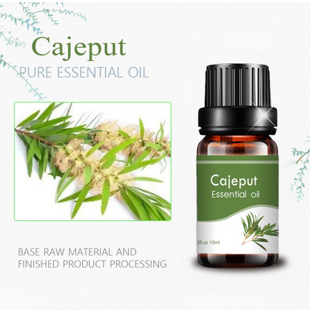 100% pure Cajeput Essential Oil At Best Price Analgesic