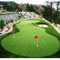 China Carpet Grass Price for Golf Field Supplier