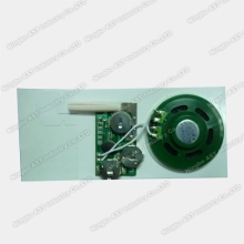 Greeting Cards Sound Chip Slide Tongue Sound Module