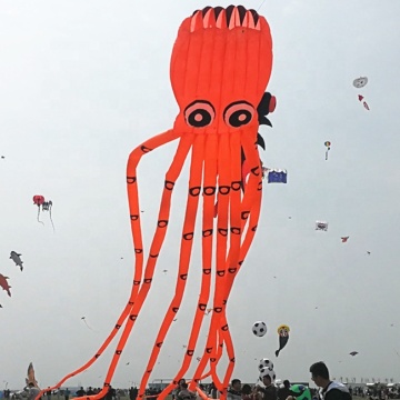 New Design Fish Kite & Inflatable Show Octopus Kite - 3D Animal Shape Soft Kites from Factory Supply