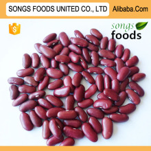 Chinese Dark Red Kidney Beans New Crop