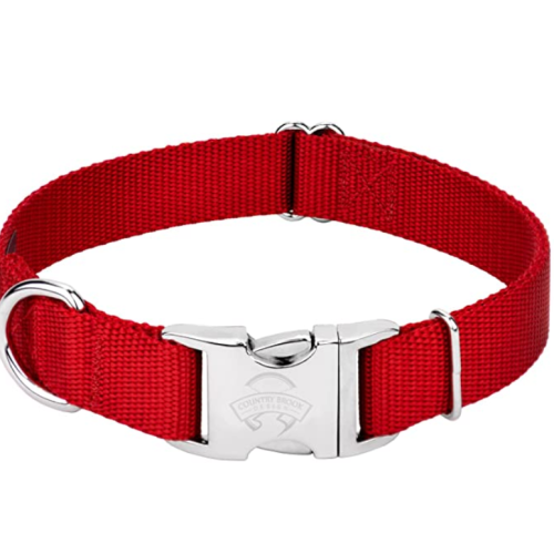 Premium Nylon Hundehalsband mit Metallschnalle