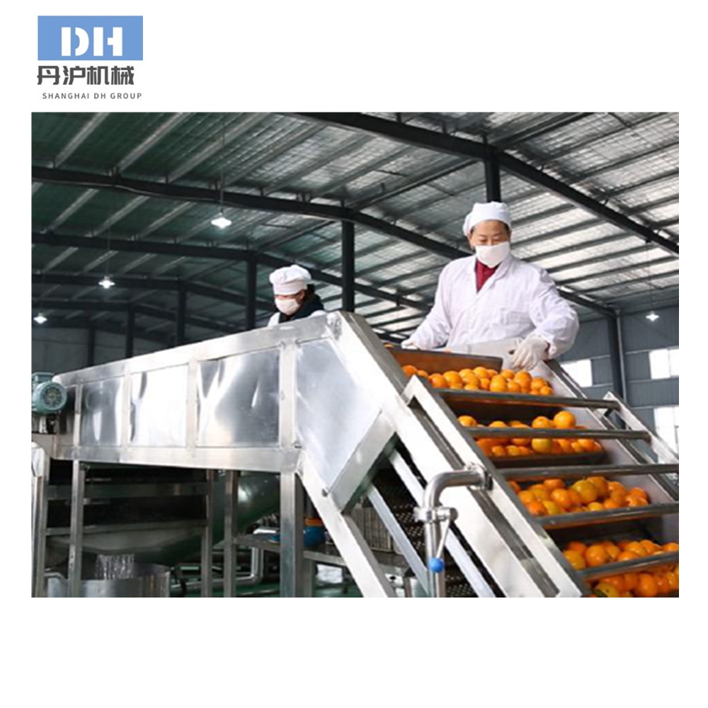 Fruit pulper machine for Fruit Processing Line