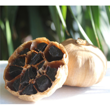 Health Quality Black Garlic Sale