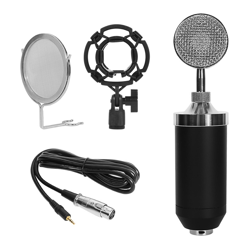 Professional Music Wired Microphone For Studio Singing