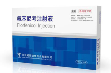 Antibiotic Drug Florfenicol Injection for Veterinary Use