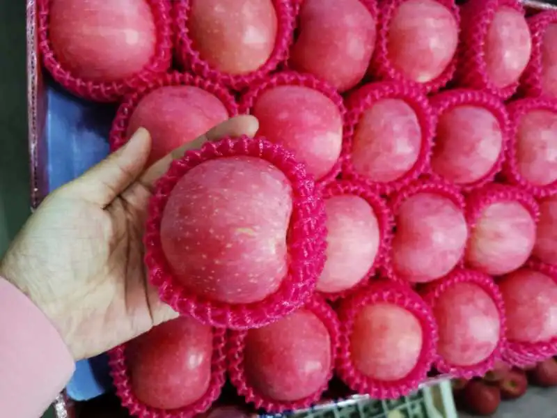 Wholesale Red FUJI Apple with High Sugar