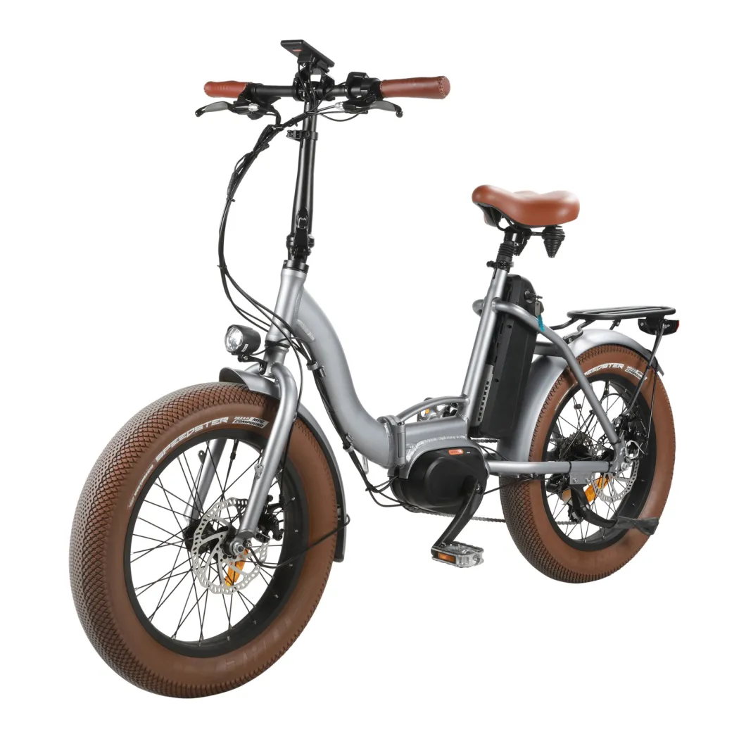 China Cheap Electric Folding Bicycles for Sale/ Mini Snow Folding Electric Bike