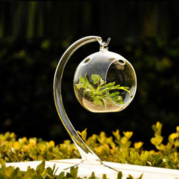 Wholesale Hand Blown Glass Terrarium, Nice Design