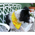 Dog Bandana Plus Set of 5 Dog Toys