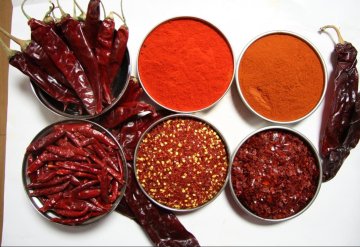 herbs and spices supplier Chilli Powder spices powder single spices and condiments wholesale