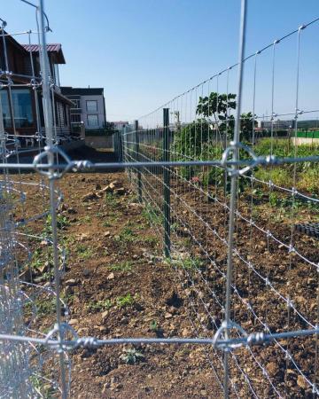 galvanized welded wire mesh for Garden Fence