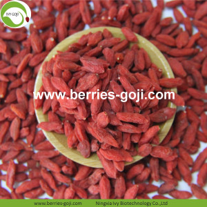 ซัพพลายขายโรงงานร้อนแห้ง Zhongning Goji Berry