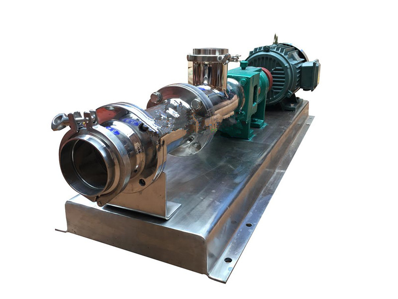 GF stainless steel sanitary grade single screw pump 2