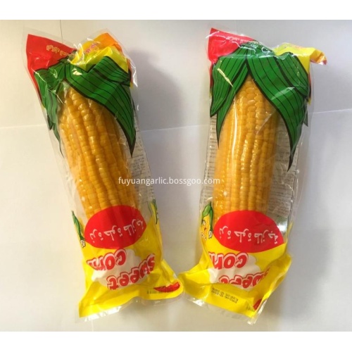 2020 tanaman jagung manis