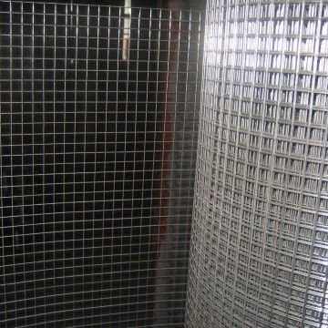 Galvanized Welded Bird Cage Wire