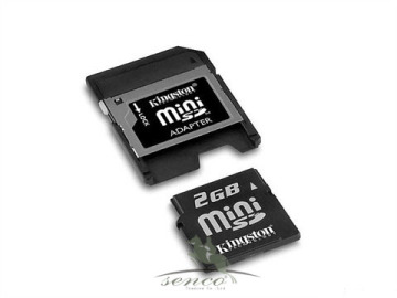 Mini SD Card