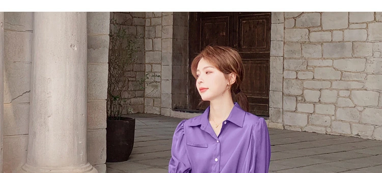 New Lapel Solid Color Women′ S Skirt Purple Long Chiffon Dress