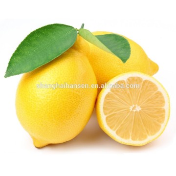 Import agent of south africa fresh lemon