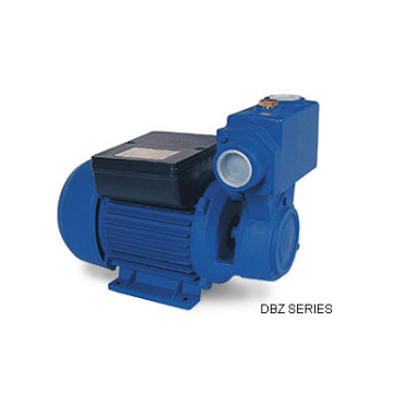 Self-Priming Peripheral Pump (DBZ Series)