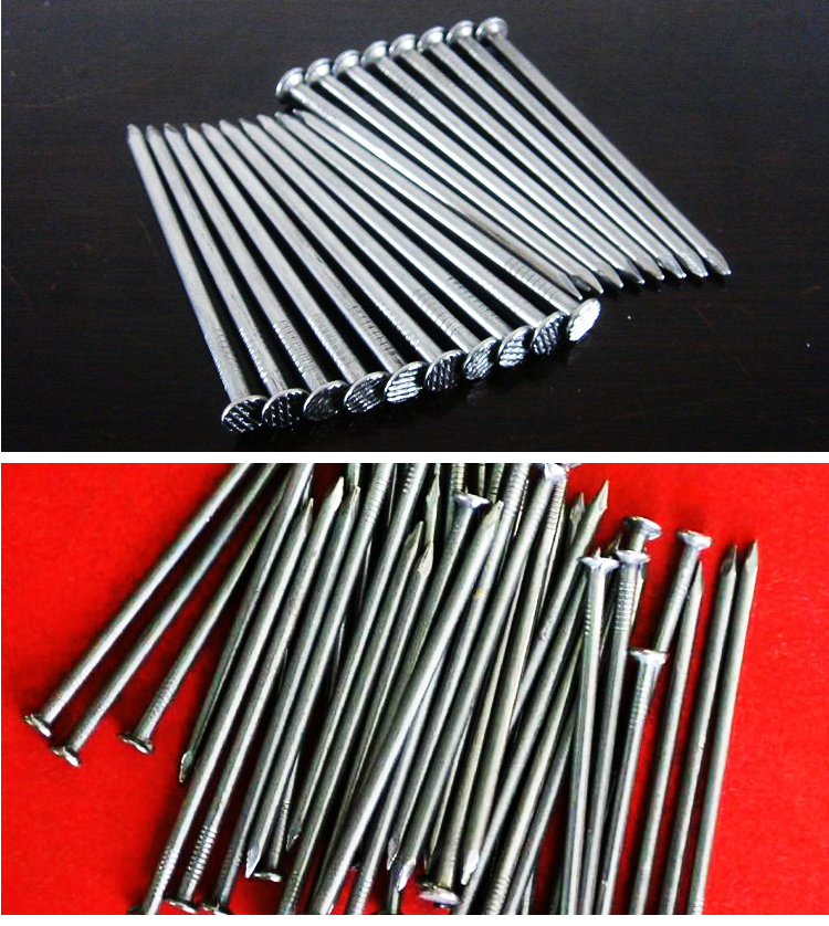 hot selling common nail iron nail factory