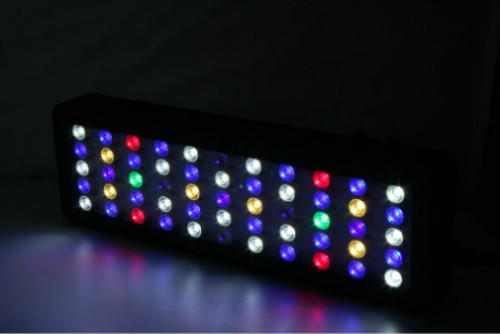 165W Aquarium Lights LED per coralli in crescita