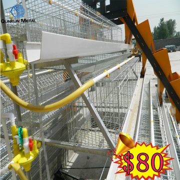 Most Popular live chickens cages to transport