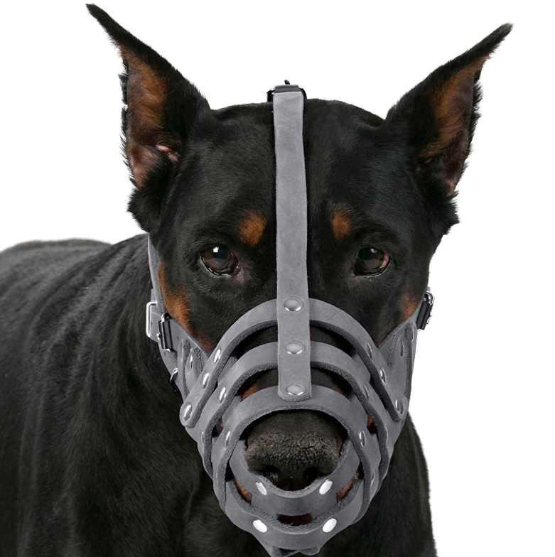 Pink Gray Leather Dog Muzzle